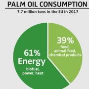 'Palm Oil'